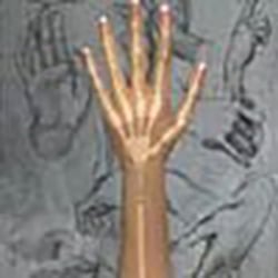 Articulated Finger +$100