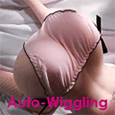 Auto-Wigging +$299
