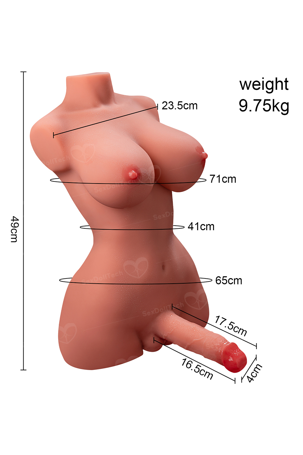 US Stock - Futanari Shemale Sex Doll Tanned Skin TPE Torso Doll Half Body Transgender Sex Doll Futa Sex Doll Torso with Dildo - Image 3
